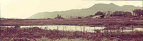 lagoon with 1Fd Sqn in distance - Photo by Gerry Lloyd