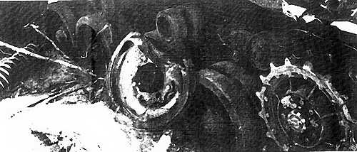 mine damage to bogy and track